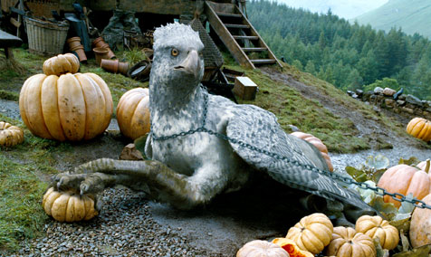 Picture of Buckbeak