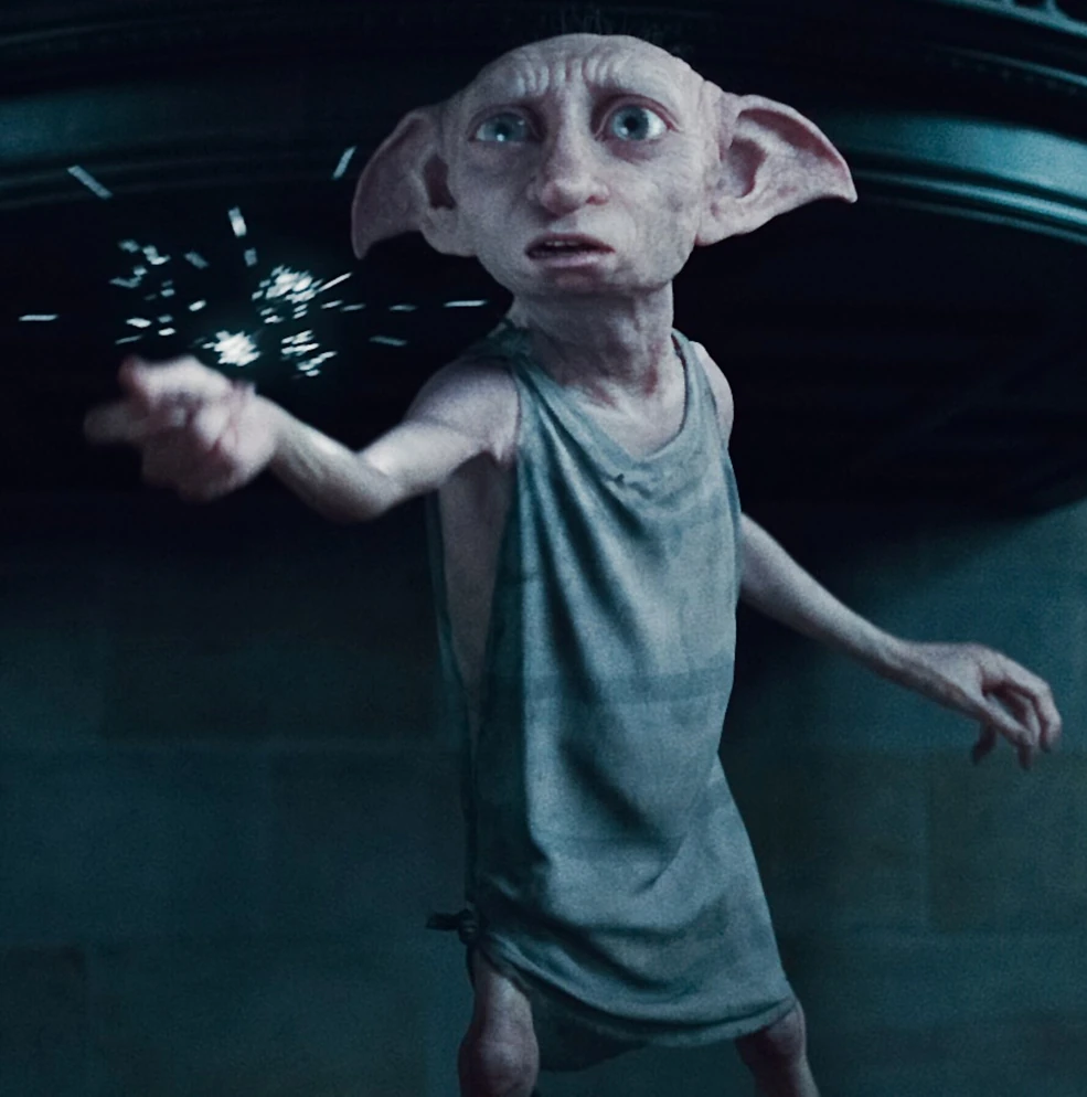 Picture of Dobby