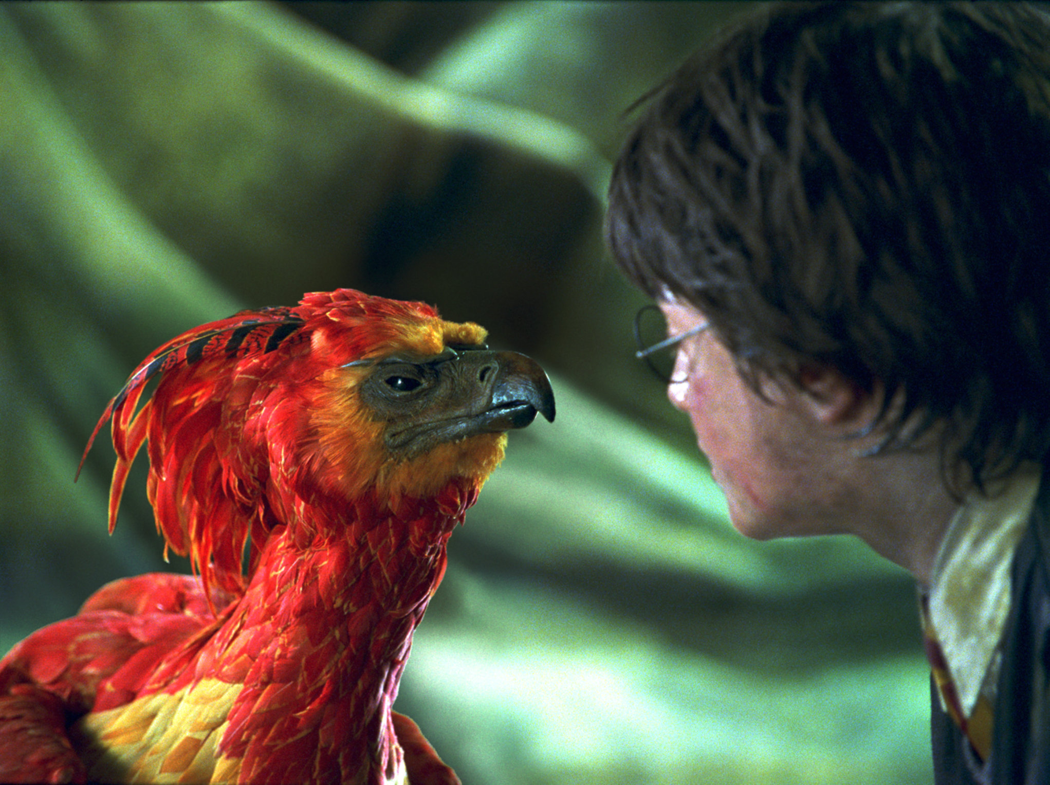 Picture of Fawkes